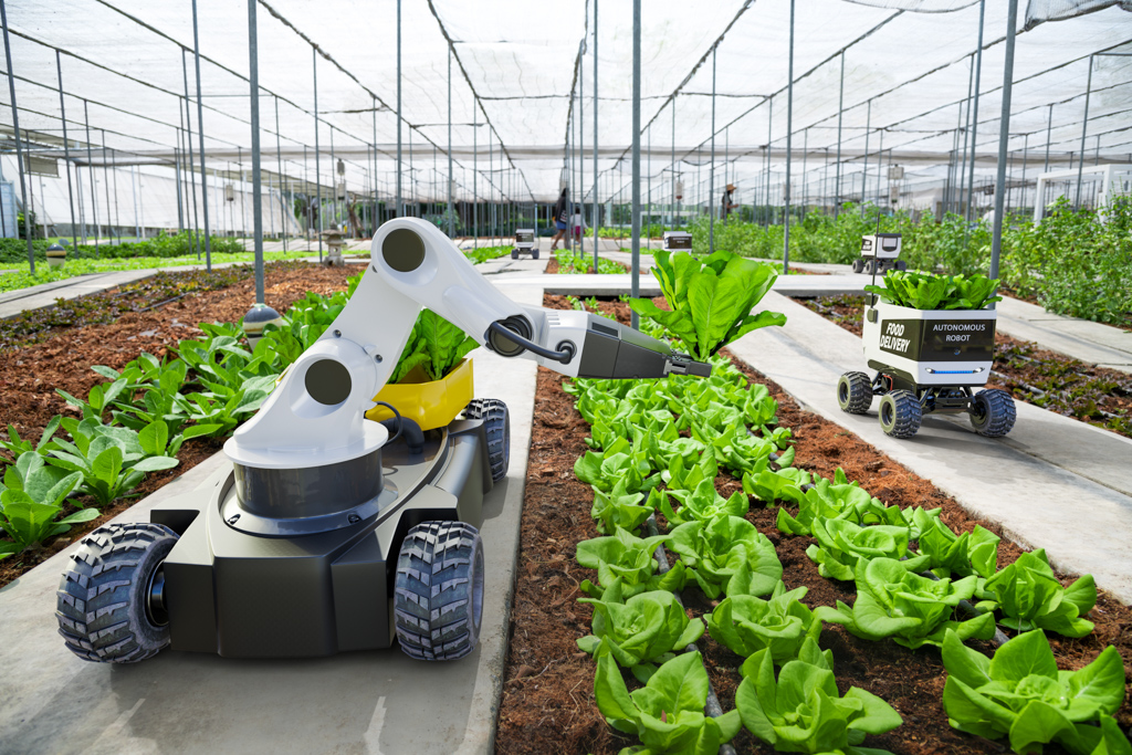 Agriculture robots working among rows of green leafy plants in a controlled farm.