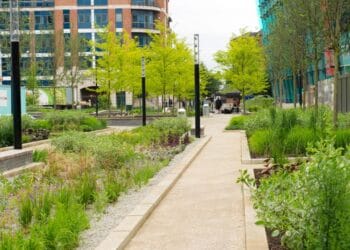 The Public Realm: Reimagining Urban Spaces